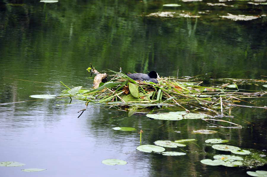 507642-KF-20110724-So-cMahramzadeh