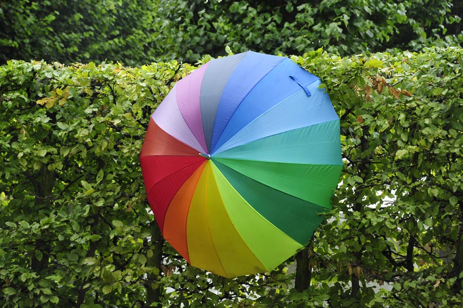 530632-KF-20110731-So-cMahramzadeh