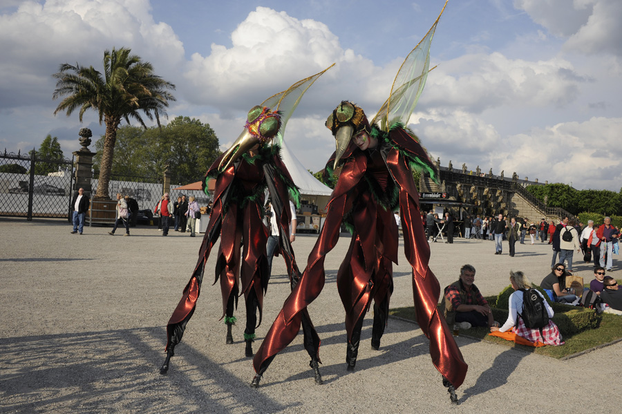 21995-FW-Schweden-20110514-cMahramzadeh