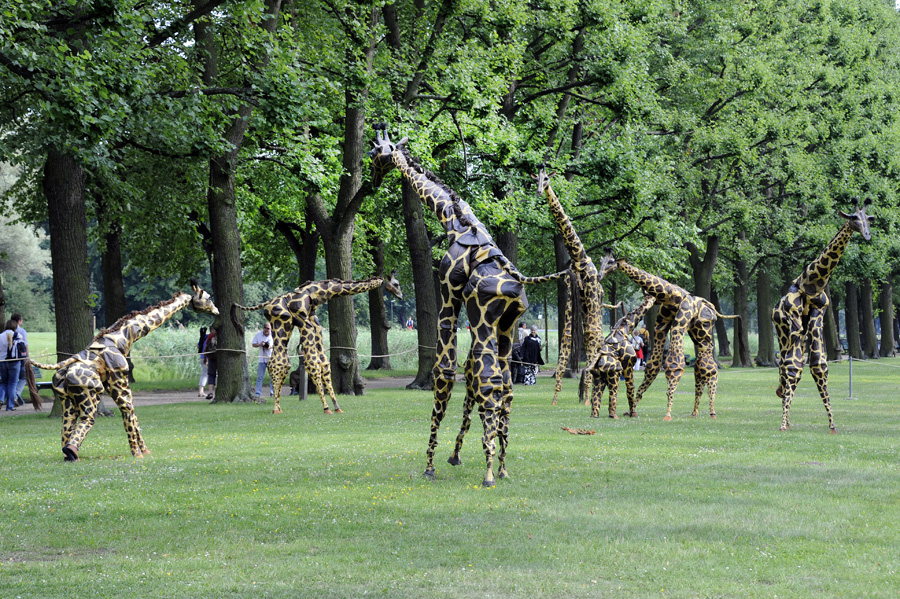 447657-KF-20110712-Di-cMahramzadeh