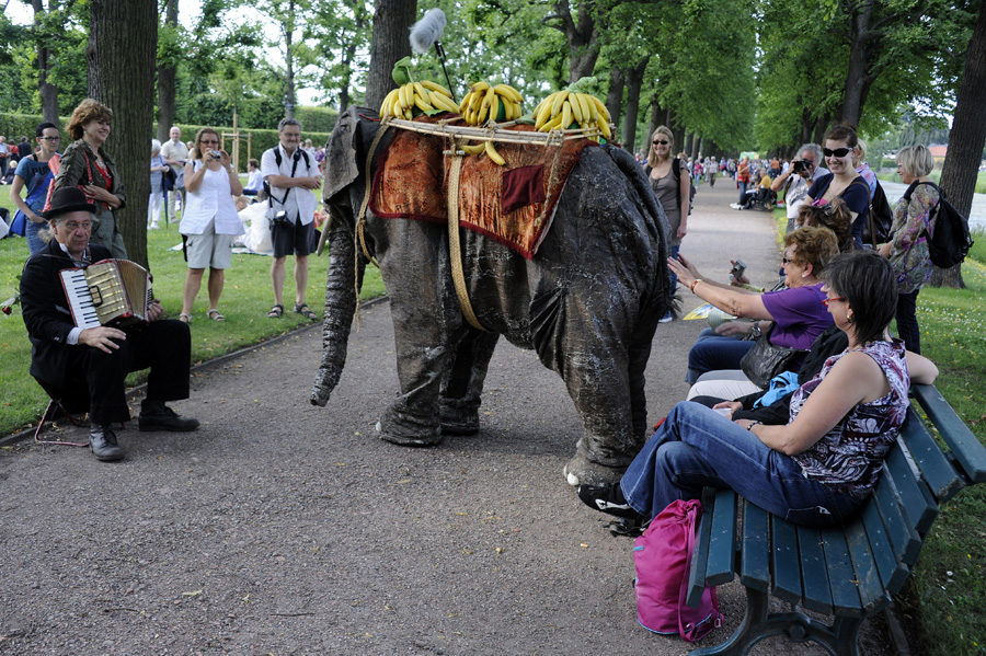 448212-KF-20110712-Di-cMahramzadeh