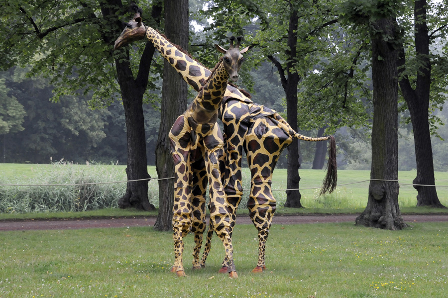 456297-KF-20110713-Mi-cMahramzadeh