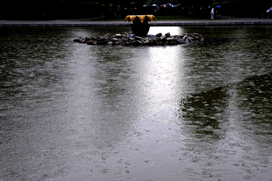 478877-KF-20110717-So-cMahramzadeh