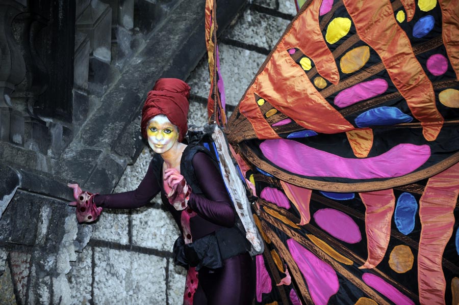 568302-Feuerwerk-Oesterreich-20110910-cMahramzadeh