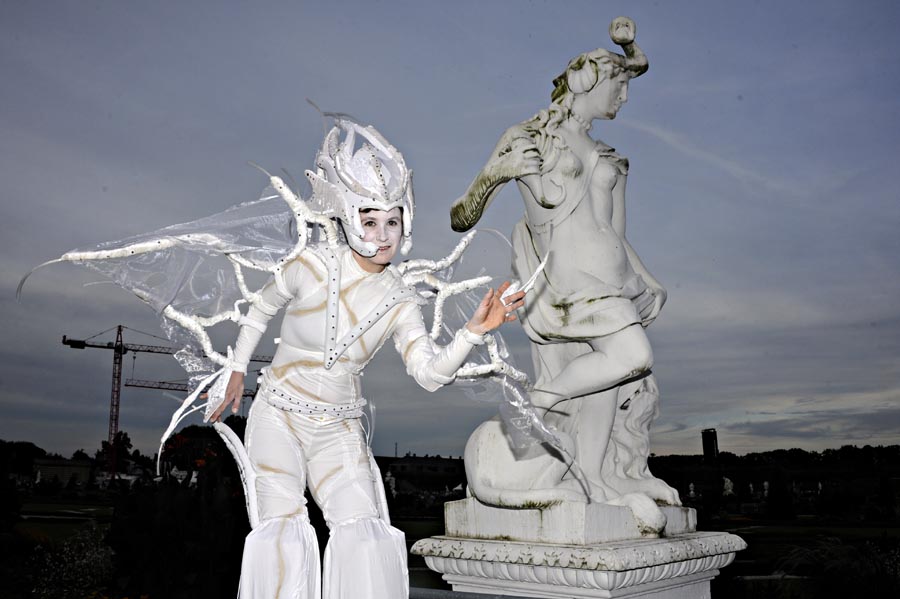 568787-Feuerwerk-Oesterreich-20110910-cMahramzadeh