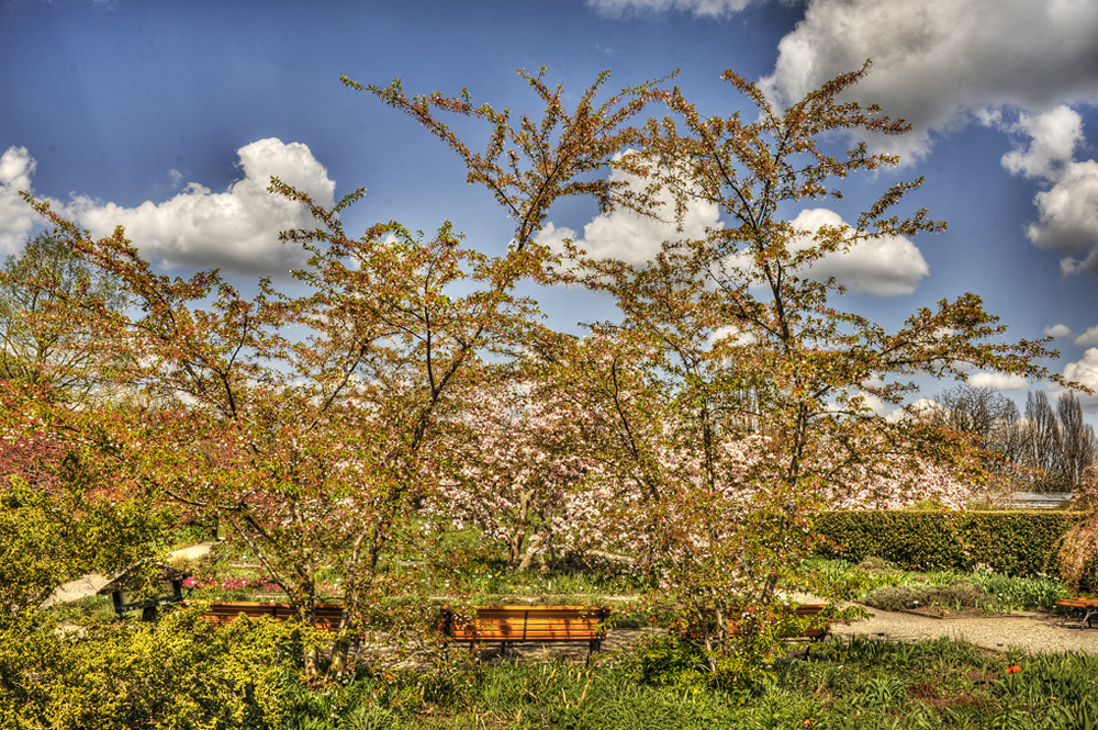 HDR-Berggarten-20110415-cMahramzadeh-01610_15_20