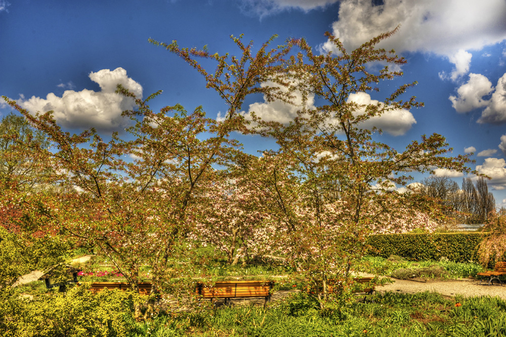 HDR-Berggarten-20110415-cMahramzadeh-01660_65_70