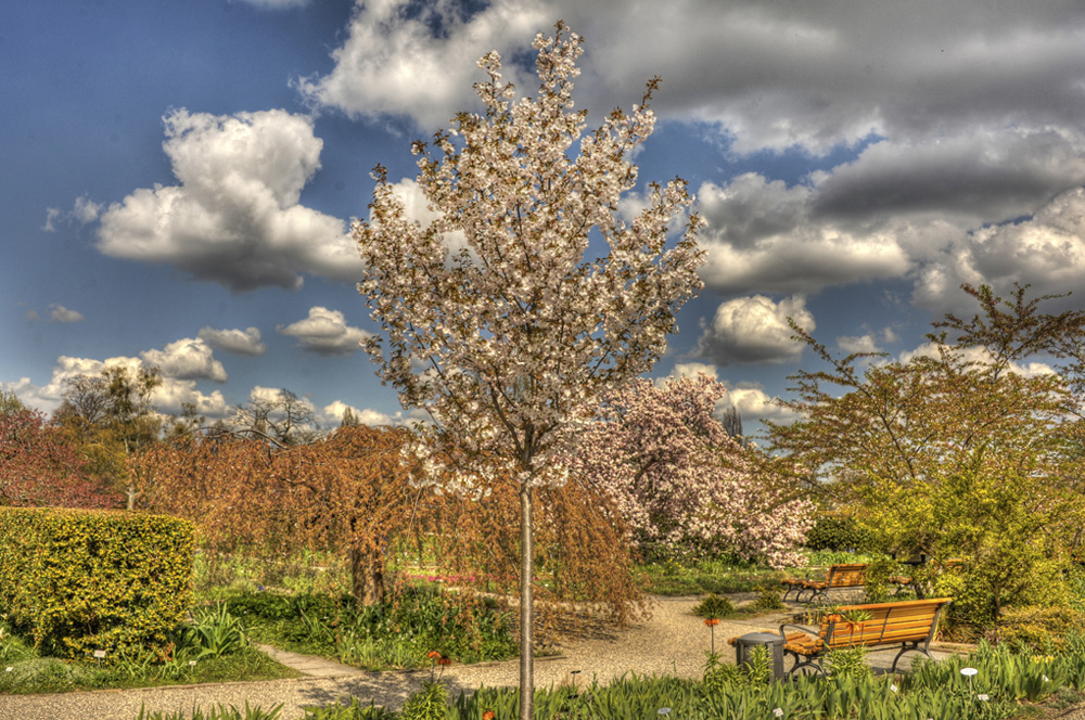 HDR-Berggarten-20110415-cMahramzadeh-01735_45_55-cut