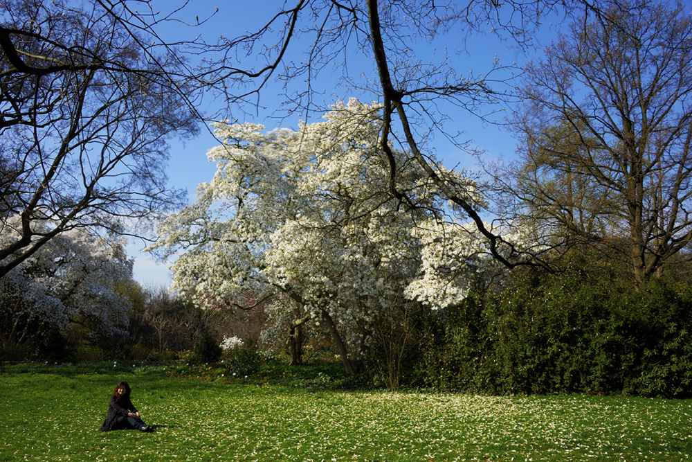 HDR-Berggarten-Japanerin-20110408-cMahramzadeh-4383_4_5_6_7