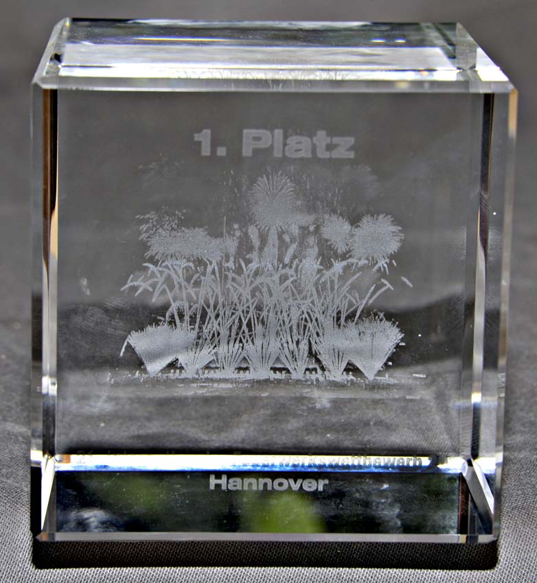 574242-Mexiko-20110924-cMahramzadeh-300dpi