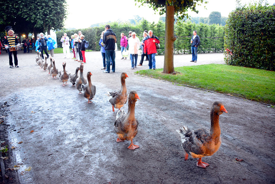 KF-37960-120710-cMahramzadeh