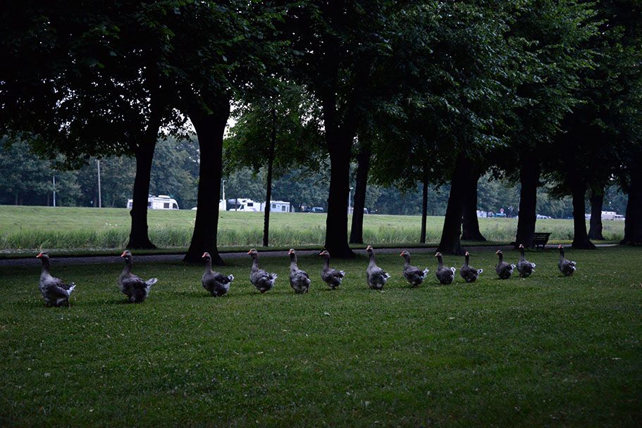 KF-38310-120710-cMahramzadeh