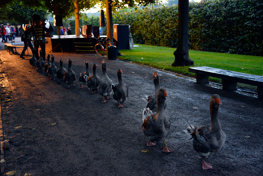 KF-37985-120710-cMahramzadeh