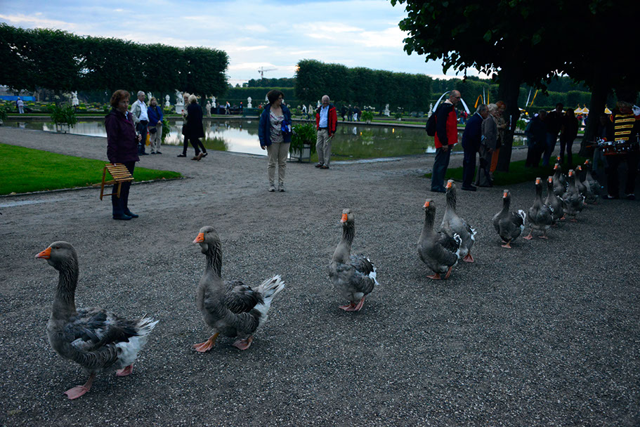 KF-37840-120710-cMahramzadeh