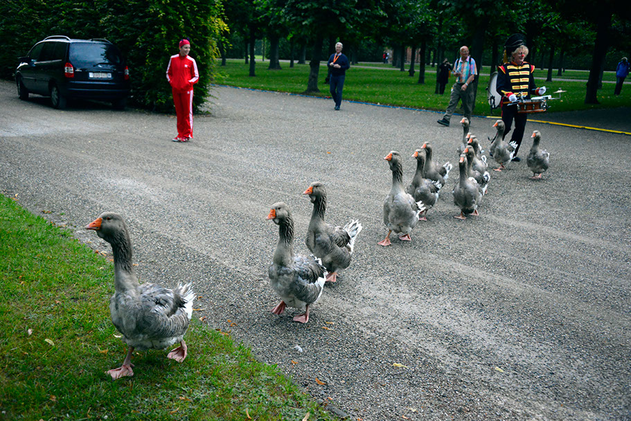 KF-38150-120710-cMahramzadeh