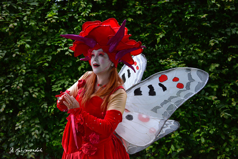 KF-42800-120711-cMahramzadeh