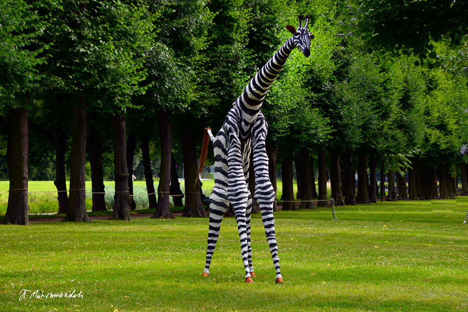 KF-39140-120711-cMahramzadeh