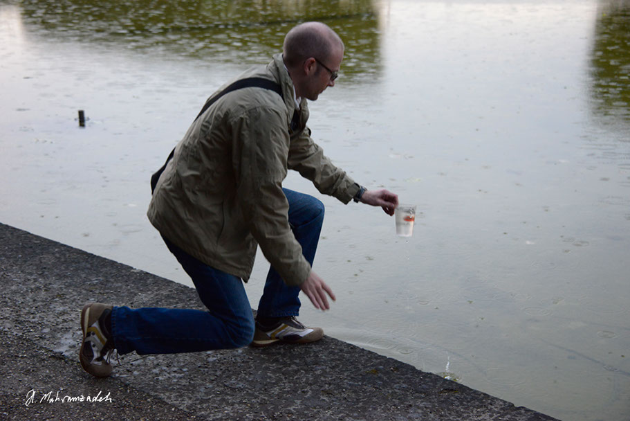 KF-43665-120711-cMahramzadeh