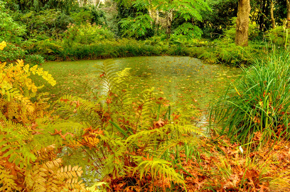 HDR-Berggarten-14030-_35-_40-Entegruetze