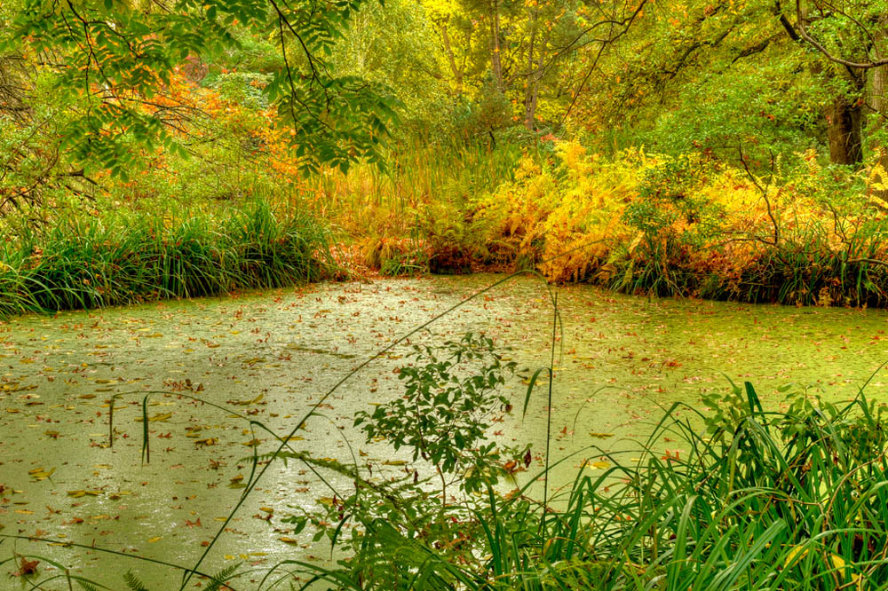 HDR-Berggarten-14160-_65-_70-_75-_80-Gruetze