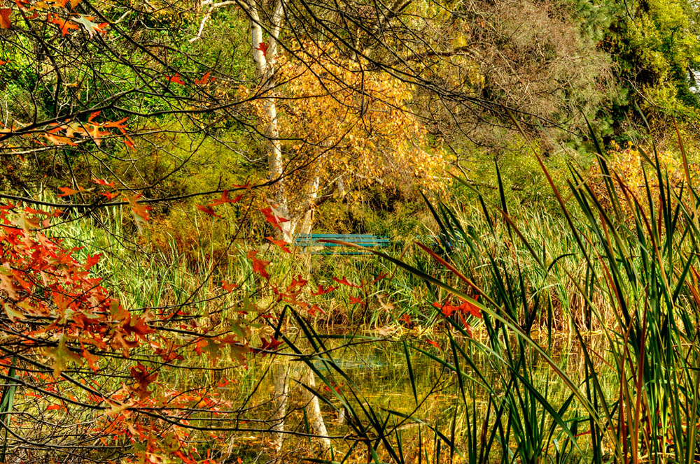 HDR-Berggarten-14330-_35-_40-Moor-Bank