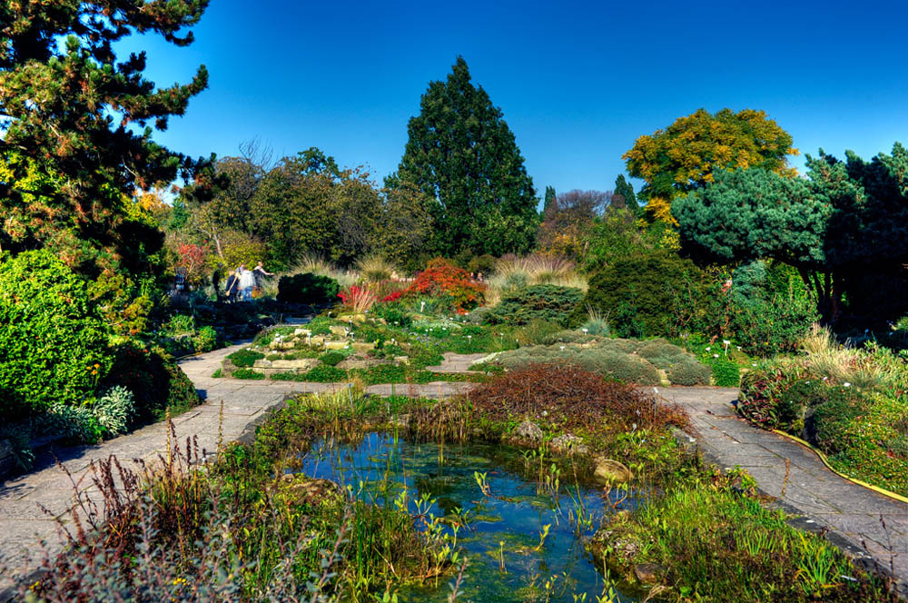 HDR-Berggarten-4705-_10-_15-_20-_25-Landschaft