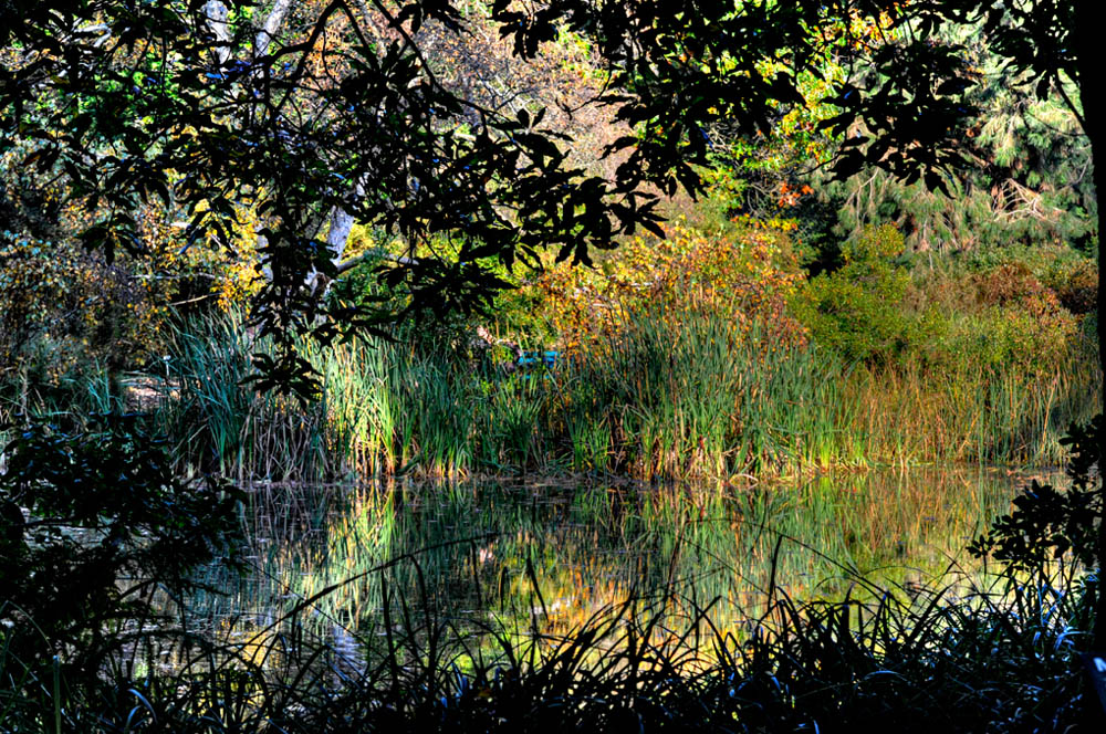 HDR-Berggarten-6105-_10-_15-_20-_25-Moor