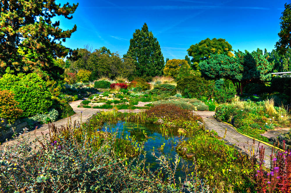 HDR-Berggarten-6558-Praerie