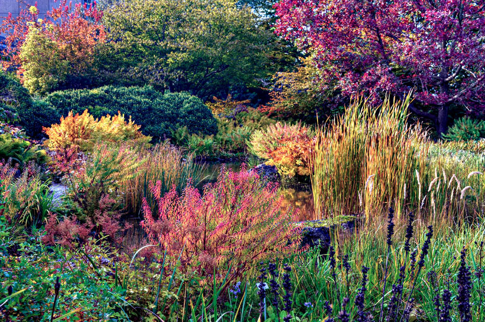 HDR-Berggarten-8322-Herbst