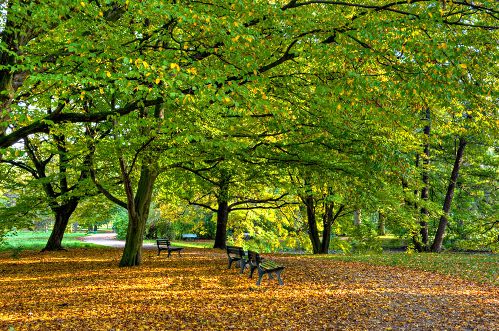 HDR-Georgengarten-11010-_15-_20-_25-_30-Park