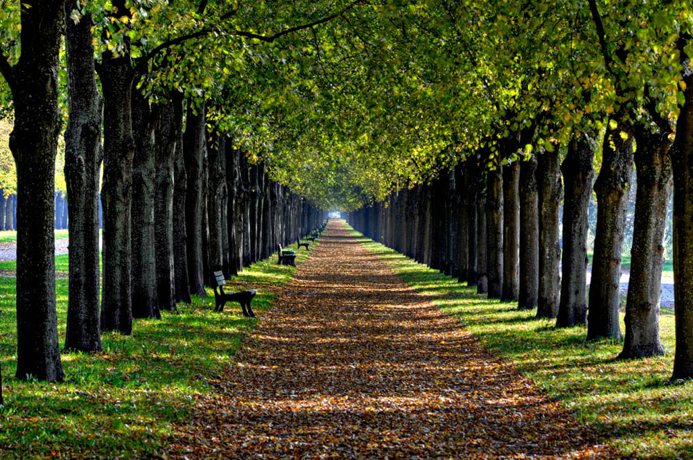 HDR-Georgengarten-20101013-7420-_25-_30-_35-_40-Allee
