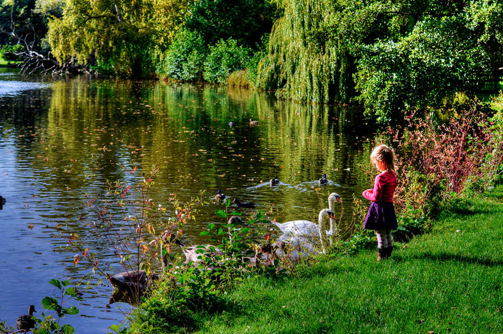 HDR-Georgengarten-7818-Maedchen-mit-Schwan