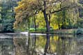 HDR-Georgengarten-11535-_40-_45-Wasser