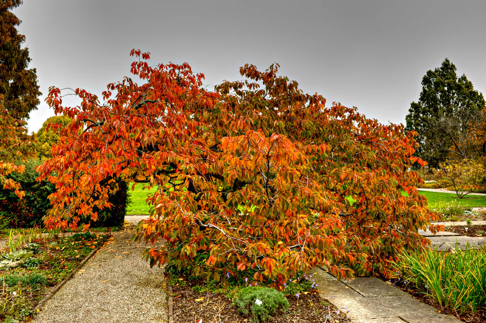 HDR-20101030-Mahramzadeh1593_4_2_tonemapped