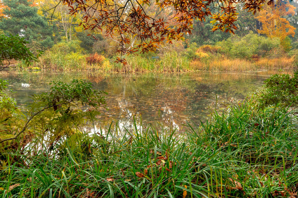 HDR-Berggarten-20101101-Mahramzadeh-18200-_05-_10-_15-_20-Moor
