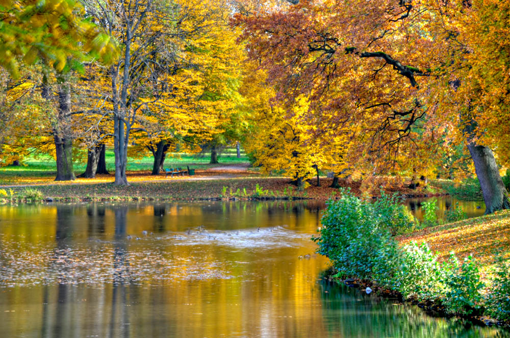 HDR-Georgengarten-20101029-Mahramzadeh-15870-_75-_80-Wasser