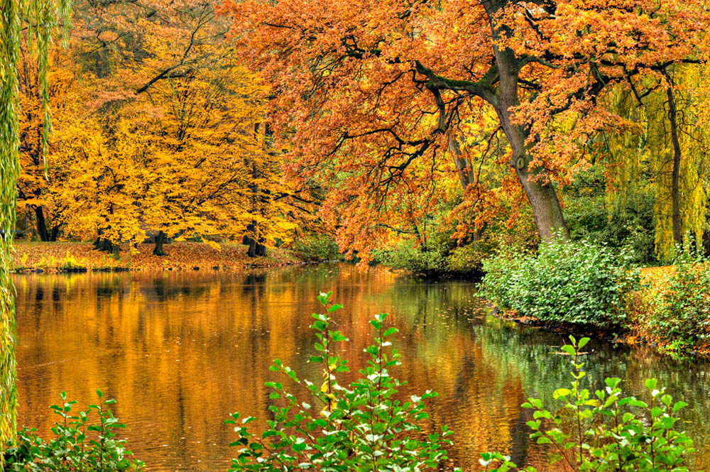 HDR-Georgengarten-20101031-Mahramzadeh-17080-_85-_90-Wasser