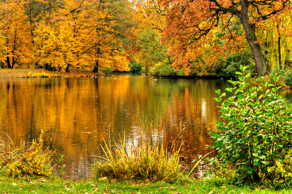 HDR-Georgengarten-20101031-Mahramzadeh-17110-_15-_20-Wasser