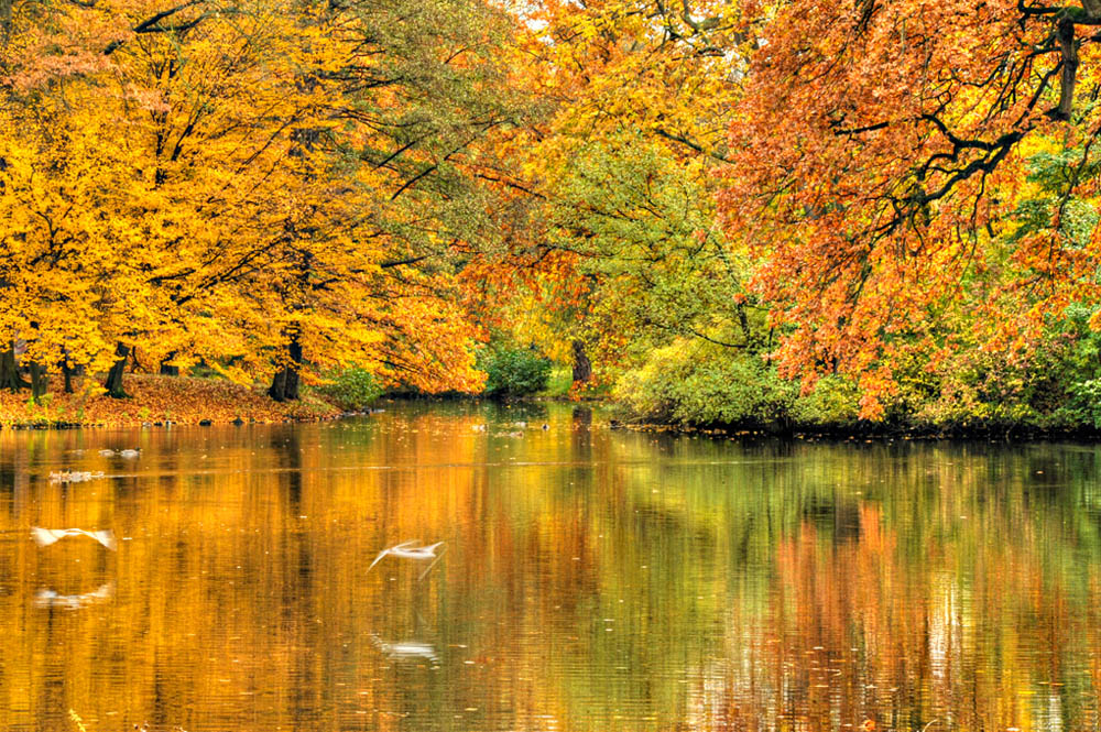 HDR-Georgengarten-20101031-Mahramzadeh-17140-_45-_50-Wasser