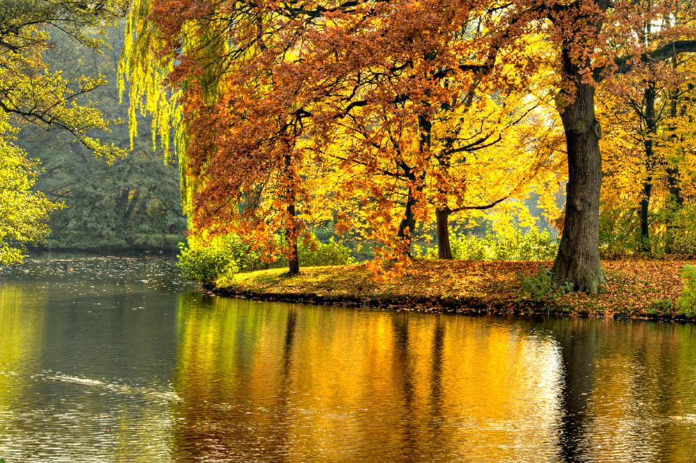 HDR-Georgengarten-20101031-Mahramzadeh-17215-_20-_25-Wasser