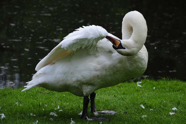 Bad-Driburg-0004-Mah