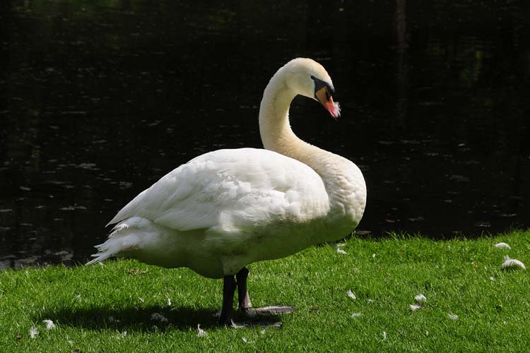 Bad-Driburg-0012-Mah