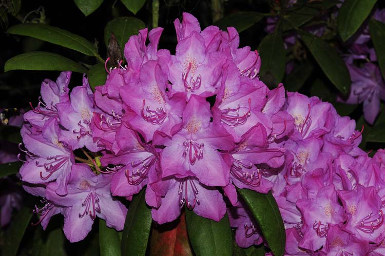 Bad-Driburg-0020-Mah