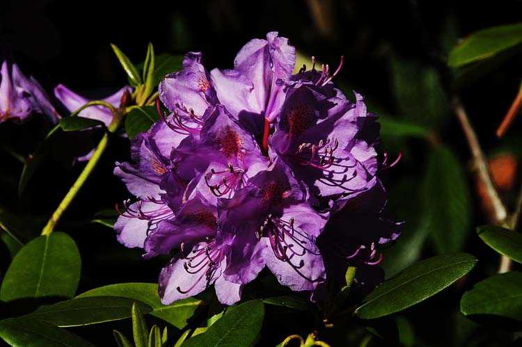 Bad-Driburg-0024-Mah