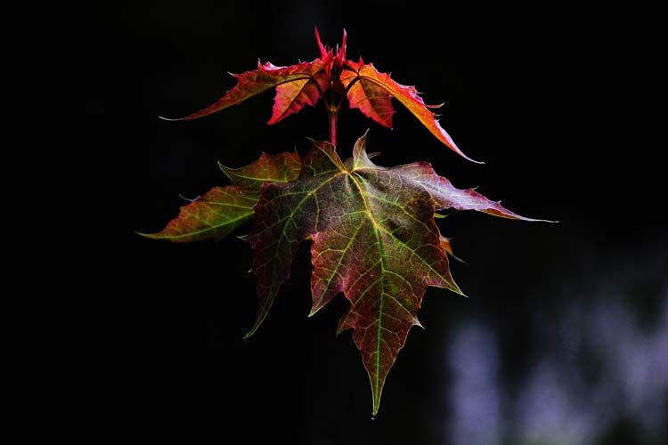 Bad-Driburg-0026-Mah