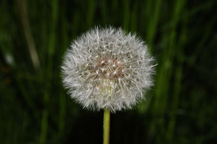 Bad-Driburg-0032-Mah