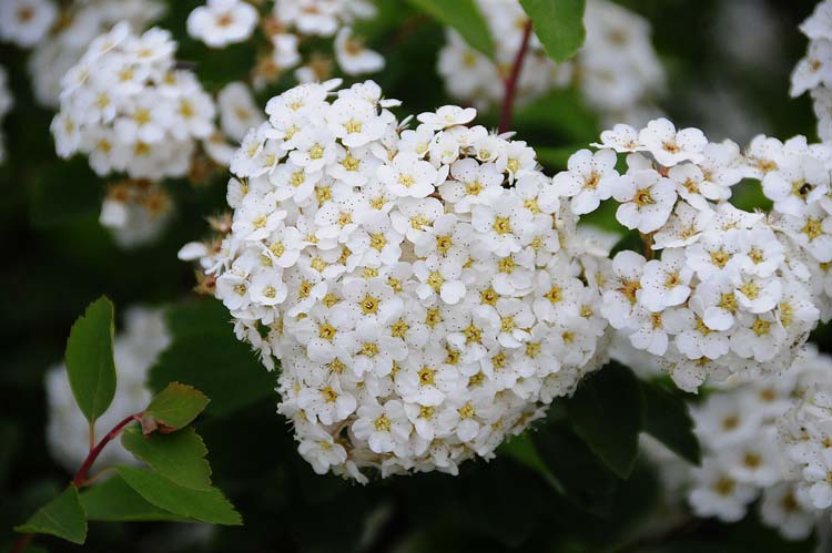 Bad-Driburg-0036-Mah