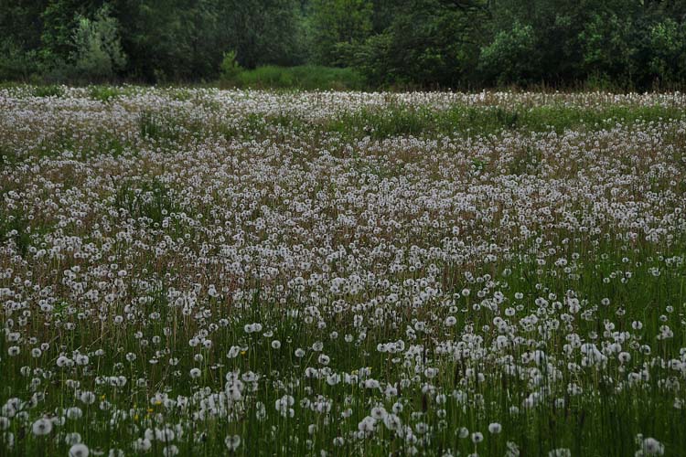 Bad-Driburg-0040-Mah