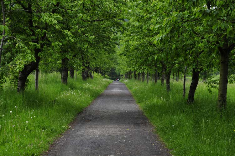 Bad-Driburg-0044-Mah