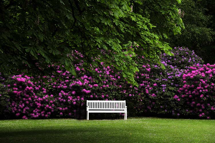 Bad-Driburg-0056-Mah